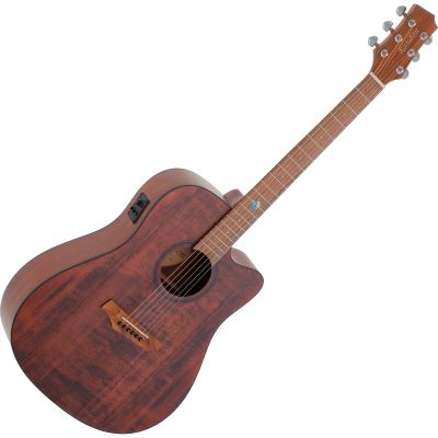Chitară acustică Randon RGI-10VT-CE