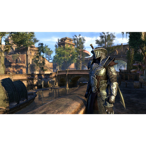 The Elder Scrolls Online Morrowind - Joc PS4 - imagine 2