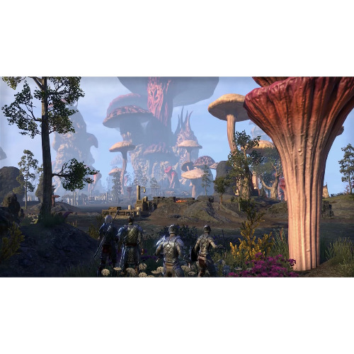 The Elder Scrolls Online Morrowind - Joc PS4 - imagine 4