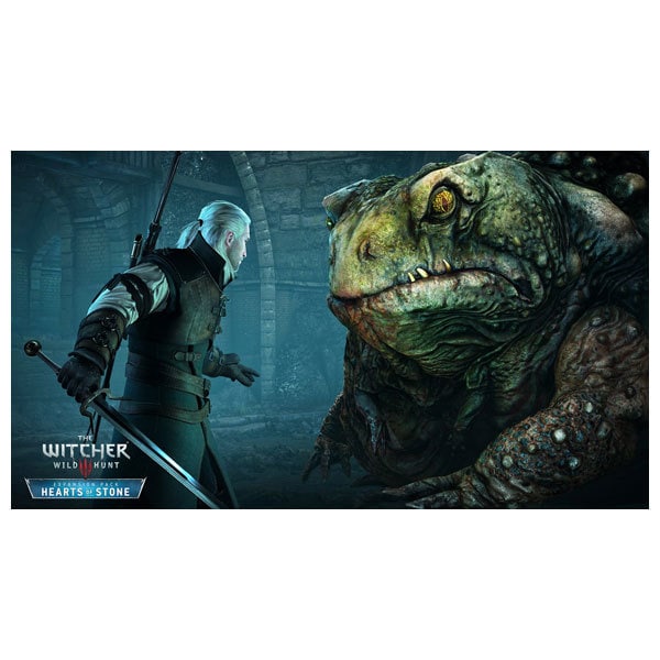 The Witcher 3 Wild Hunt Complete Edition - Joc Nintendo Switch - imagine 2