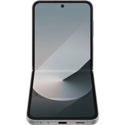 Samsung Galaxy Z Flip6 5G, 256 Gb, Dual SIM, Silver Shadow - imagine 2