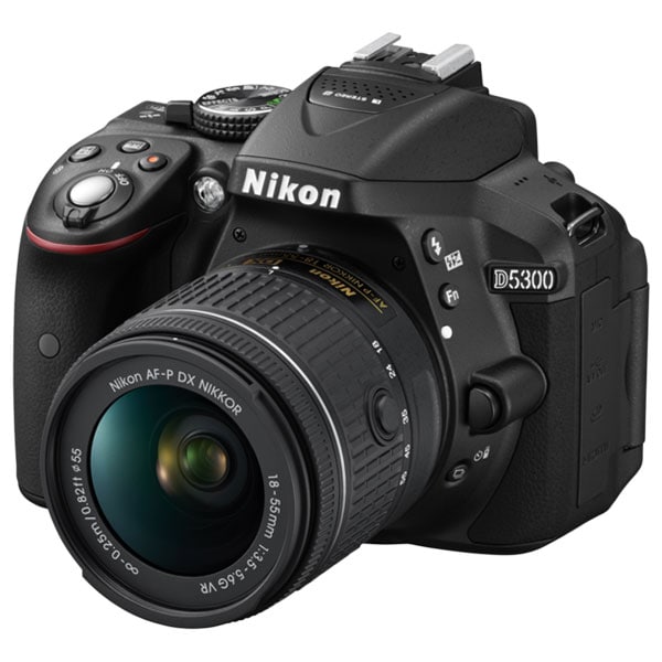 Camera Foto Nikon D5300 + Blitz Neewer NW561, 2 Baterii, Negru