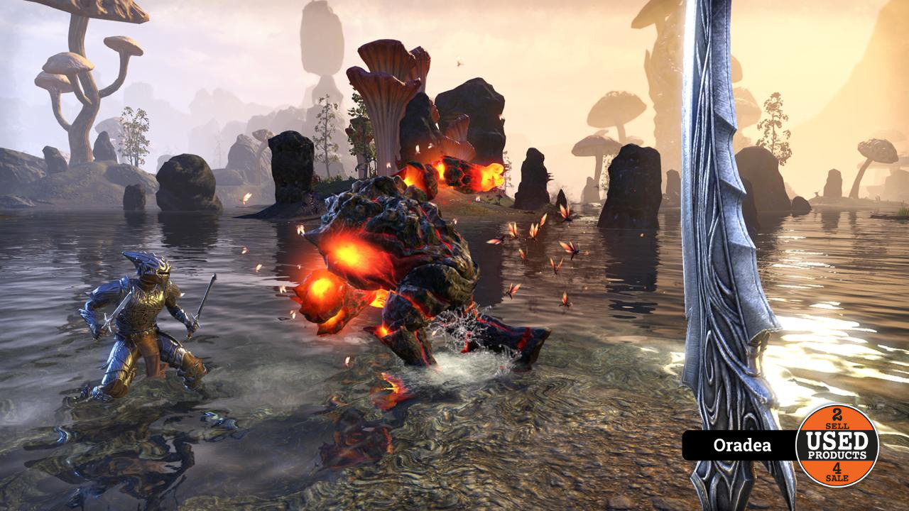 The Elder Scrolls Online Morrowind - Joc PS4 - imagine 2