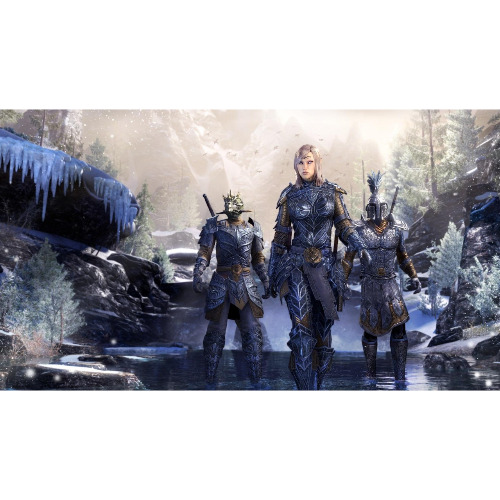The Elder Scrolls Online - Joc PS4 - imagine 3