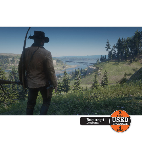 Red Dead Redemption II - Joc PS4 - imagine 4